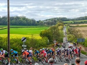 Read more about the article Your Ultimate Guide: Tips for Watching the Tour de France in France
