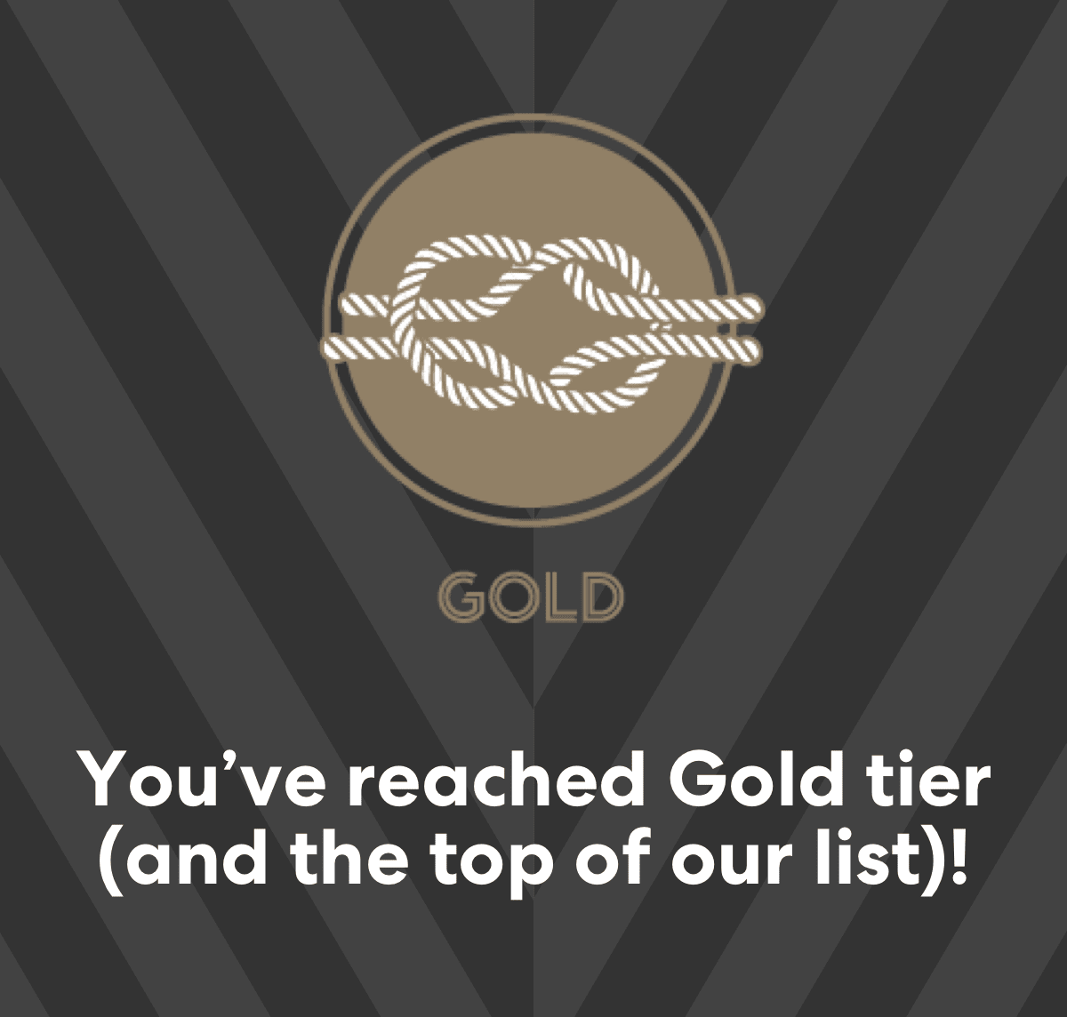 Read more about the article European Discovery Travel Reaches Gold Tier at Seacademy for Virgin Voyages!